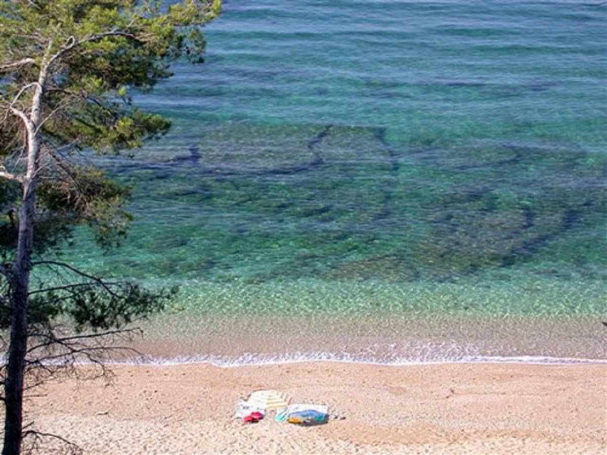 **** Beau T2 De 40 M2, Jardin De 70M2, Au Calme, A 50 Metres De La Plage ル・プラデ エクステリア 写真